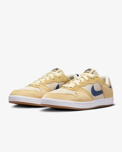 Nike SB Alleyoop